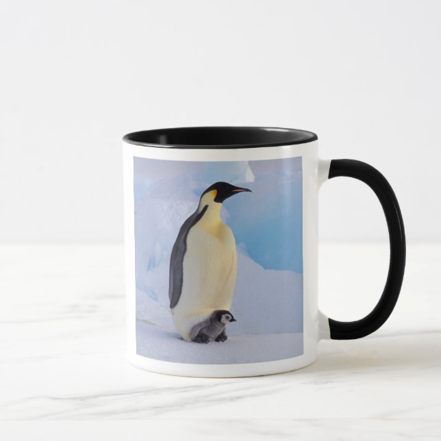 Emperor Penguin | Aptenodytes Mug (Right)
