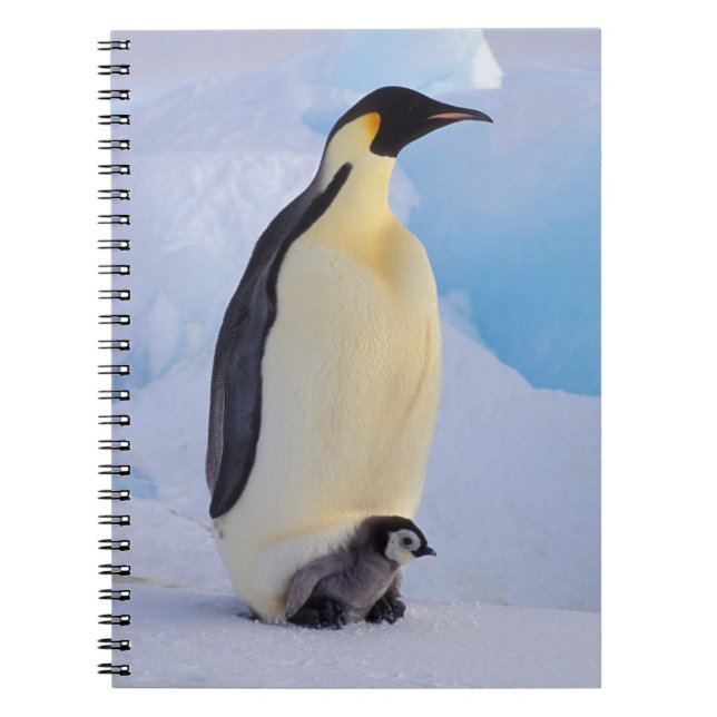 Emperor Penguin | Aptenodytes Notebook (Front)