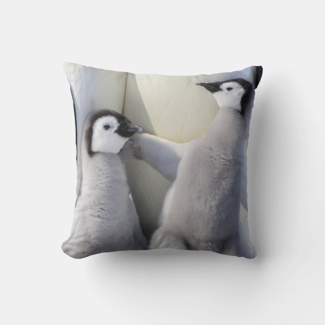 Emperor Penguin Chick Cushion (Front)