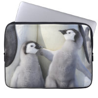 Emperor Penguin Chick