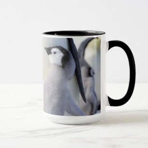Emperor Penguin Chick Mug