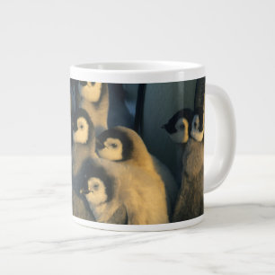 Emperor Penguin chicks in creche, Aptenodytes Large Coffee Mug
