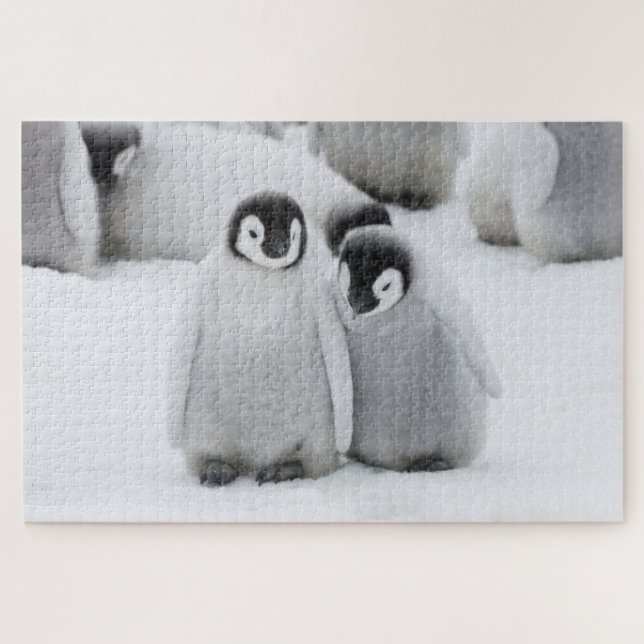 Emperor Penguin Chicks on Ice in Antarctica Jigsaw Puzzle (Horizontal)