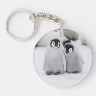 Emperor Penguin Chicks on Ice in Antarctica Key Ring