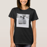 Emperor Penguin Chicks on Ice in Antarctica