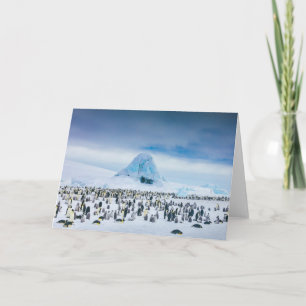 Emperor Penguin Colony Card