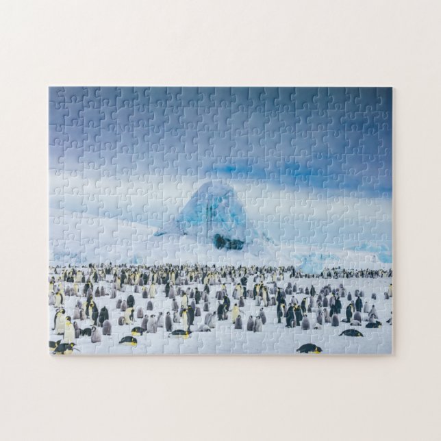 Emperor Penguin Colony Jigsaw Puzzle (Horizontal)