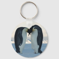 Emperor Penguin Courtship