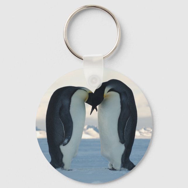 Emperor Penguin Courtship Key Ring (Front)