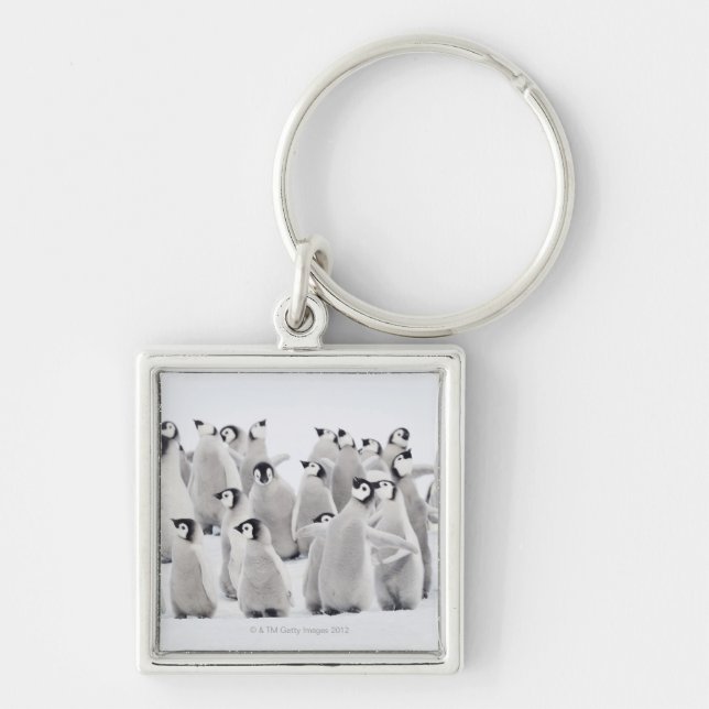 Emperor penguin key ring (Front)