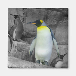Emperor Penguin Magnet