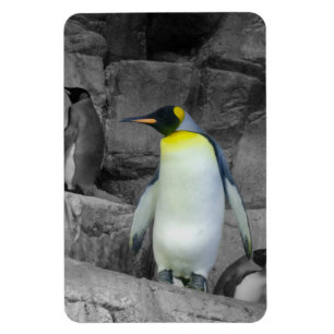 Emperor Penguin Magnet