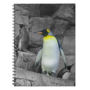 Emperor Penguin Notebook
