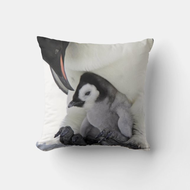 Emperor Penguin | Snow Hill Island Cushion (Front)