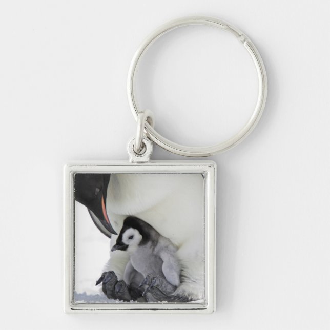 Emperor Penguin | Snow Hill Island Key Ring (Front)