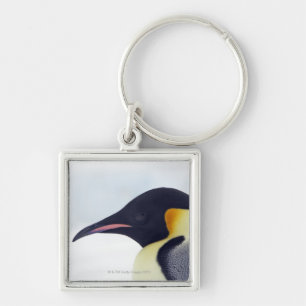 Emperor Penguin, Snow Hill Island Key Ring