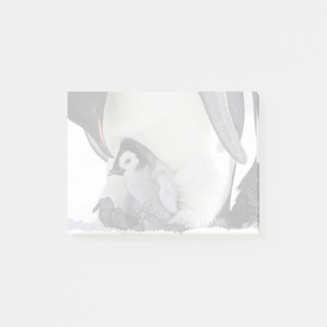 Emperor Penguin | Snow Hill Island Post-it Notes (Front)