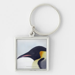 Emperor Penguin, Snow hill island, Weddel Sea Key Ring