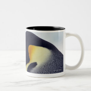 Emperor Penguin, Snow hill island, Weddel Sea Two-Tone Coffee Mug