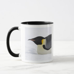 Emperor Penguin, Snow Hill Island, Weddell Sea, Mug