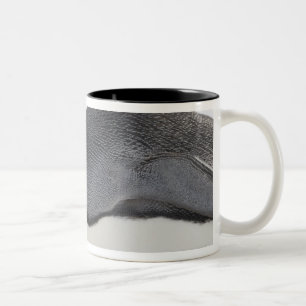 Emperor Penguin, Snow Hill Island, Weddell Sea, Two-Tone Coffee Mug