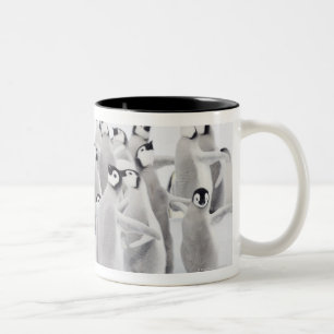 Emperor penguin Two-Tone coffee mug