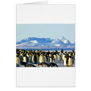 Emperor penguins