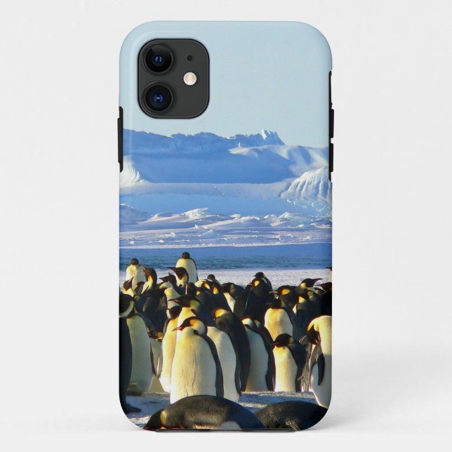 Emperor penguins Case-Mate iPhone case (Back)