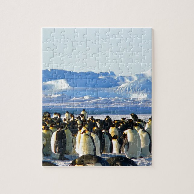 Emperor penguins jigsaw puzzle (Vertical)