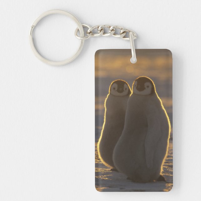 Emperor Penguins Key Ring (Front)