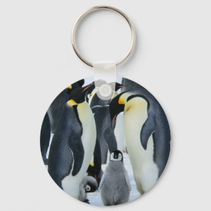 Emperor penguins key ring