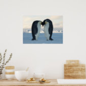 Emperor Penguins Kissing Poster (Kitchen)