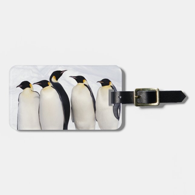 Emperor Penguins Luggage Tag (Front Horizontal)