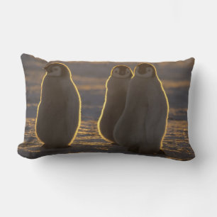 Emperor Penguins Lumbar Cushion