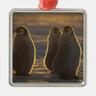 Emperor Penguins Metal Tree Decoration