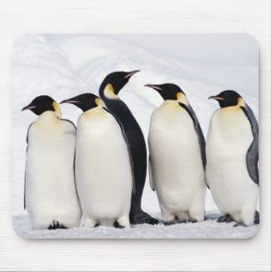 Emperor Penguins Mouse Pad
