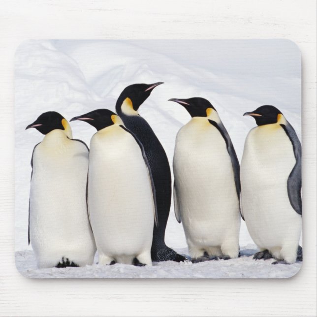 Emperor Penguins Mouse Pad (Front)