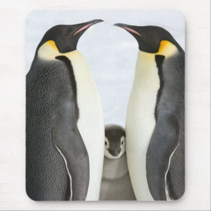Emperor Penguins Mouse Pad