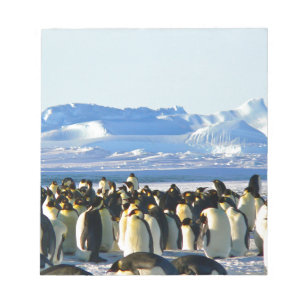 Emperor penguins notepad