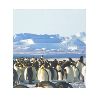 Emperor penguins notepad