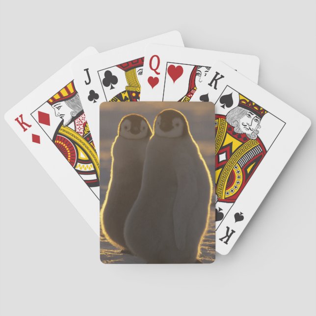 Emperor Penguins Playing Cards (Back)