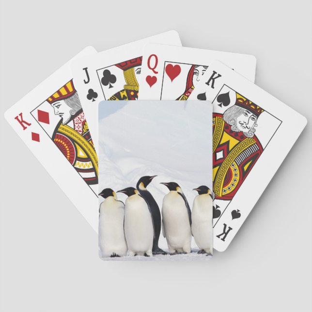 Emperor Penguins Playing Cards (Back)