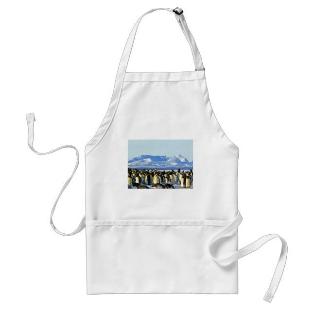 Emperor penguins standard apron (Front)