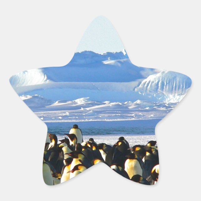 Emperor penguins star sticker (Front)