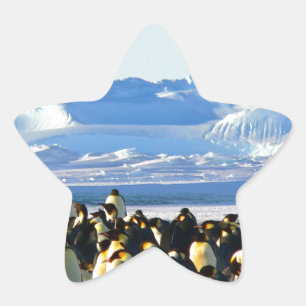 Emperor penguins star sticker