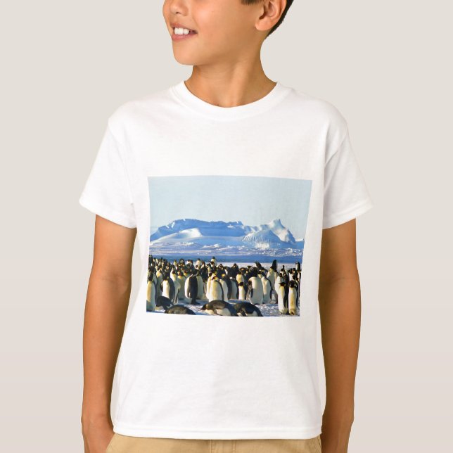 Emperor penguins T-Shirt (Front)