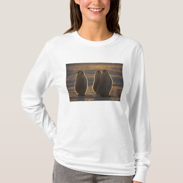 Emperor Penguins T-Shirt (Front)