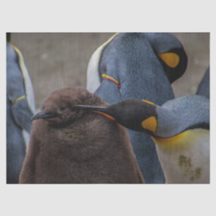 emperor penguins tissue paper