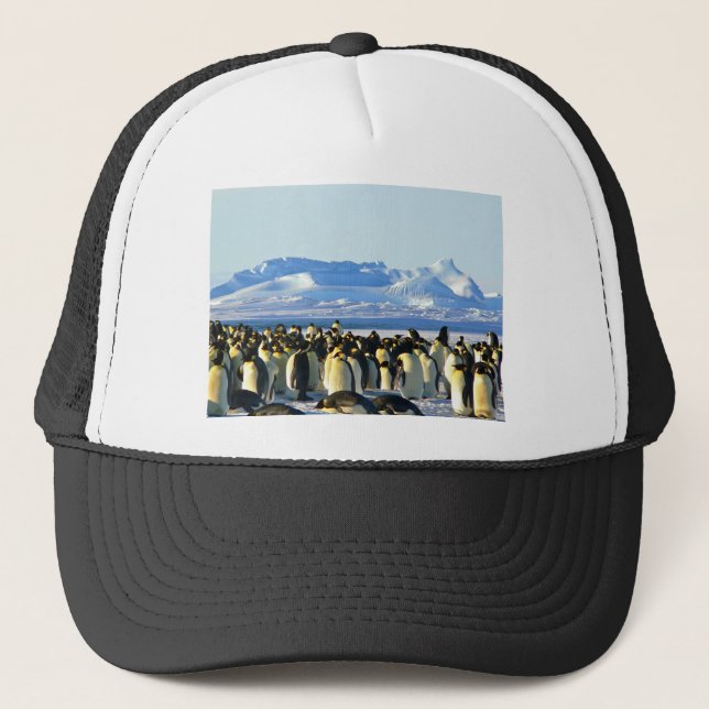 Emperor penguins trucker hat (Front)