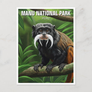 Emperor Tamarin in Manu National Park Peru Postcard